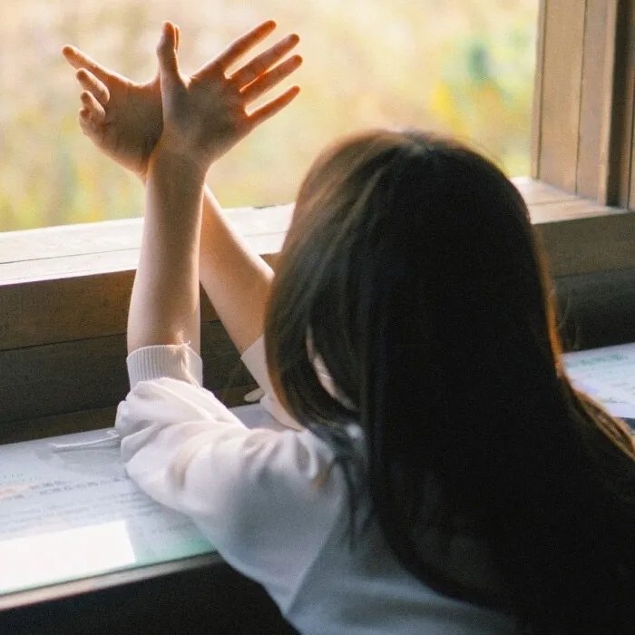 绑定系统后我成了万人迷