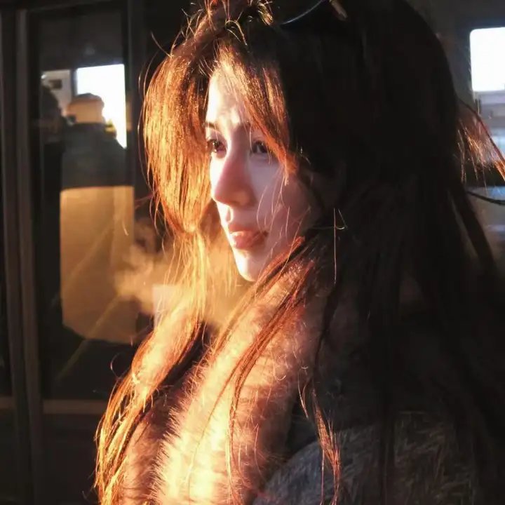 文明养狗人人有责